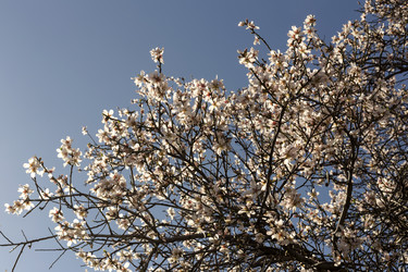 Similar image 7422782