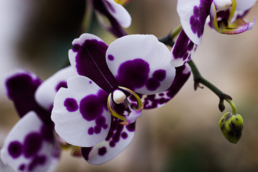 Similar image 7422819