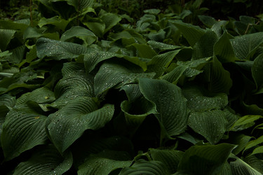 Similar image 7422822