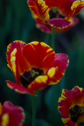 Similar image 7422823