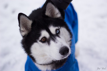 Similar image 7422825