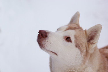 Similar image 7422826