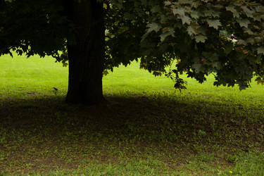 Similar image 7422835