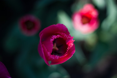 Similar image 7422836