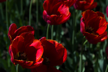 Similar image 7422837