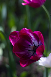 Similar image 7422838