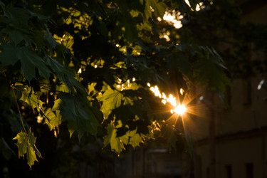 Similar image 7422841