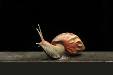 Similar image 7422862