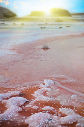 Similar image 7423001