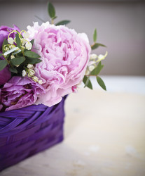 Similar image 7423002