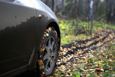 Similar image 7423095