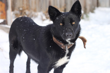 Similar image 7423107