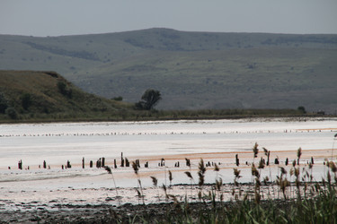 Similar image 7423178