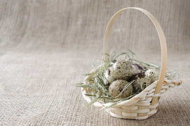 Similar image 7423181