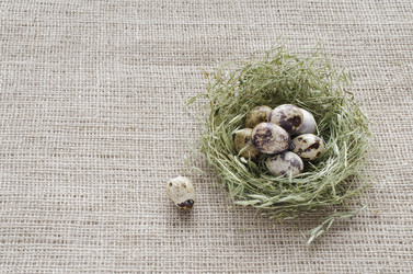 Similar image 7423183