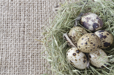 Similar image 7423184