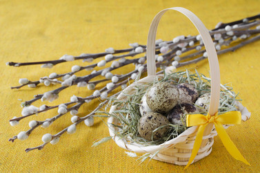 Similar image 7423185