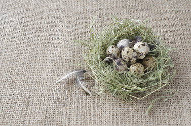 Similar image 7423202