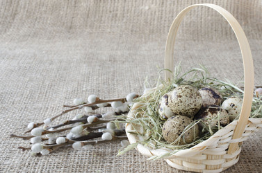 Similar image 7423204