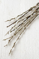 Similar image 7423205