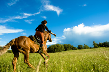 Similar image 7423352