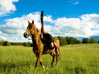 Similar image 7423359