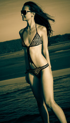 Similar image 7423407