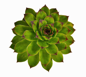 Similar image 7423615