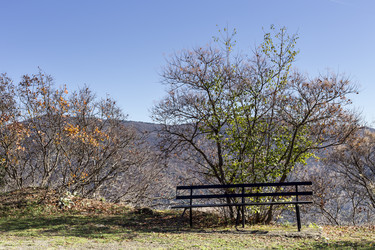 Similar image 7423640