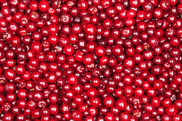 Similar image 7423692