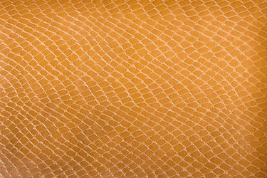 Similar image 7423693