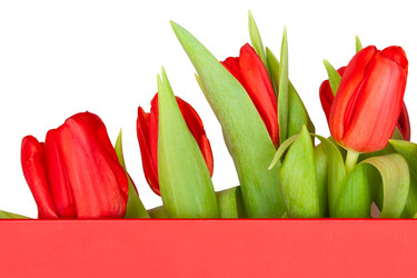 Similar image 7423697