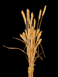 Similar image 7423702