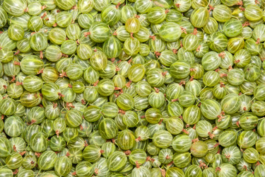 Similar image 7423703