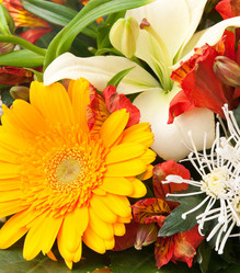 Similar image 7423706