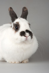 Similar image 7423707