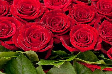 Similar image 7423713