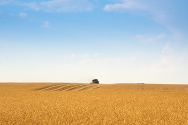 Similar image 7423718