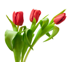 Similar image 7423729