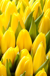 Similar image 7423731