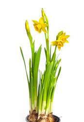 Similar image 7423732