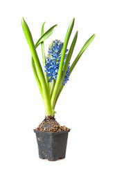 Similar image 7423736