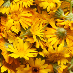 Similar image 7423737