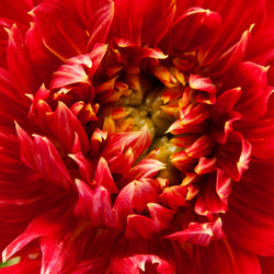 Similar image 7423739