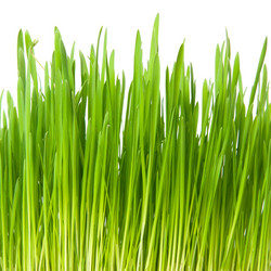 Similar image 7423741