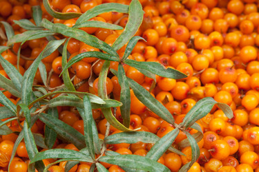 Similar image 7423784