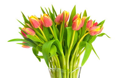 Similar image 7423793