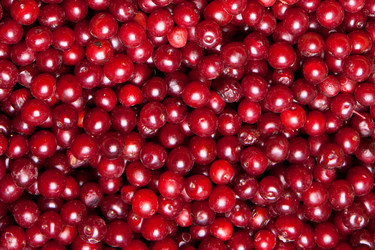 Similar image 7423805