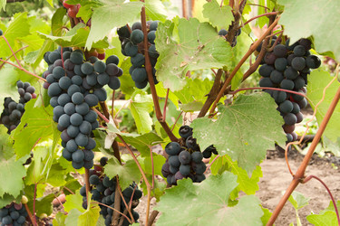 Similar image 7423806