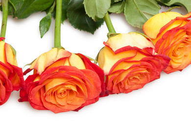 Similar image 7423807